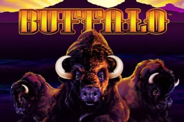 Buffalo