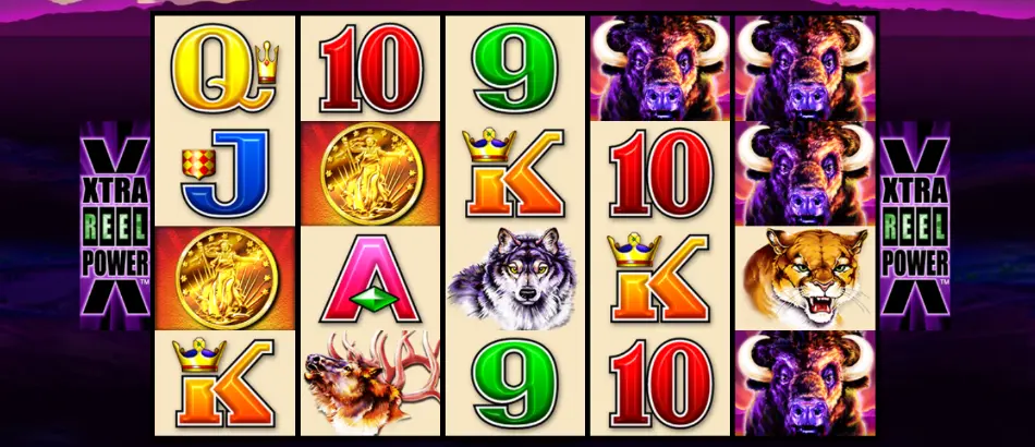 Buffalo Gold Coins Scatter example