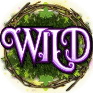 The Wild Symbol in Pixies of the Forest